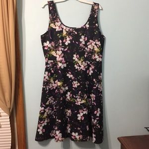 Torrid Floral Skater Dress (1X)